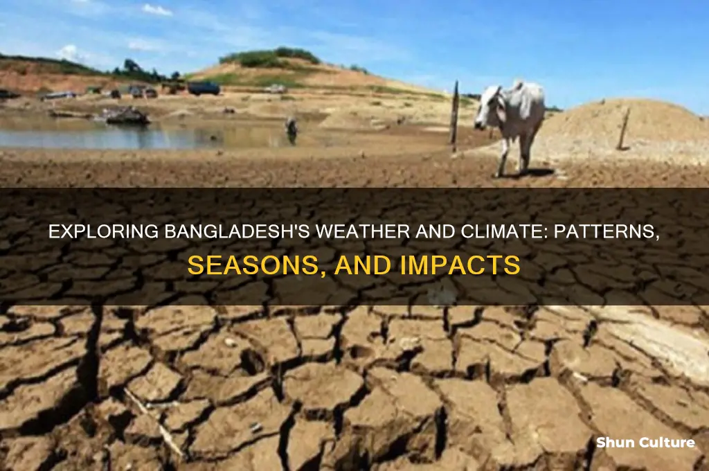 what is the weather and climate of bangladesh