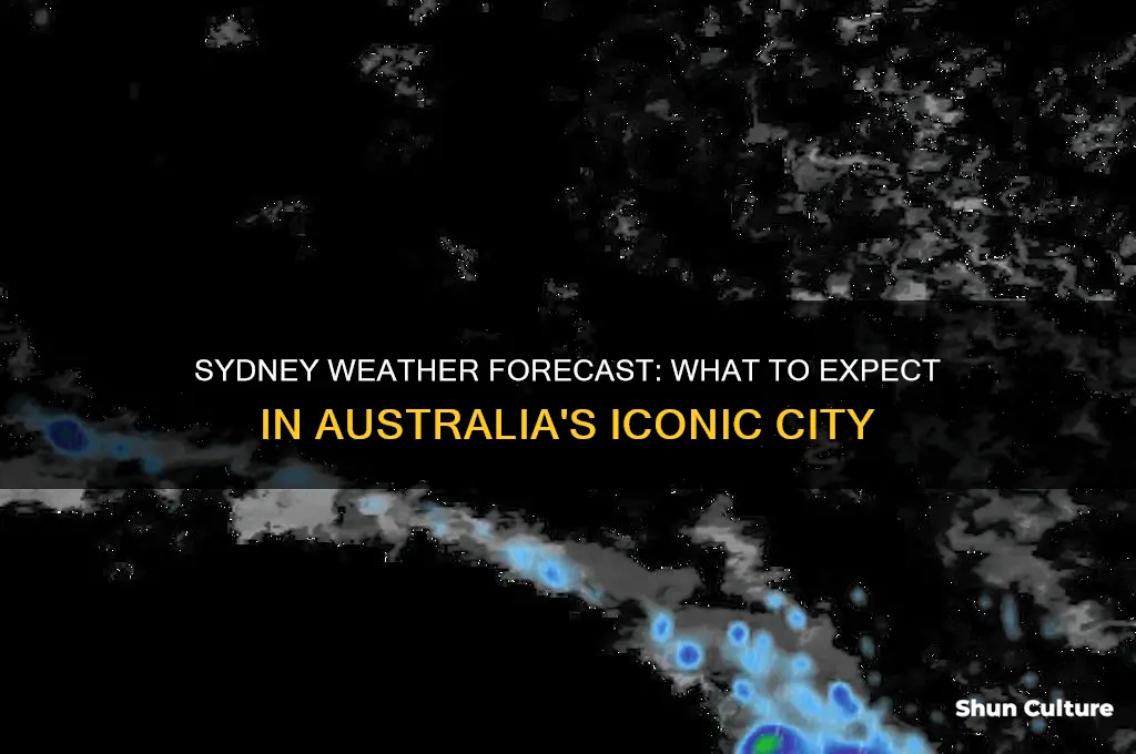 what is the weather forecast for sydney australia