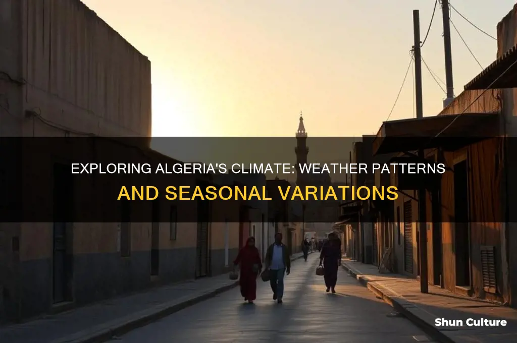 what is the weather in algeria