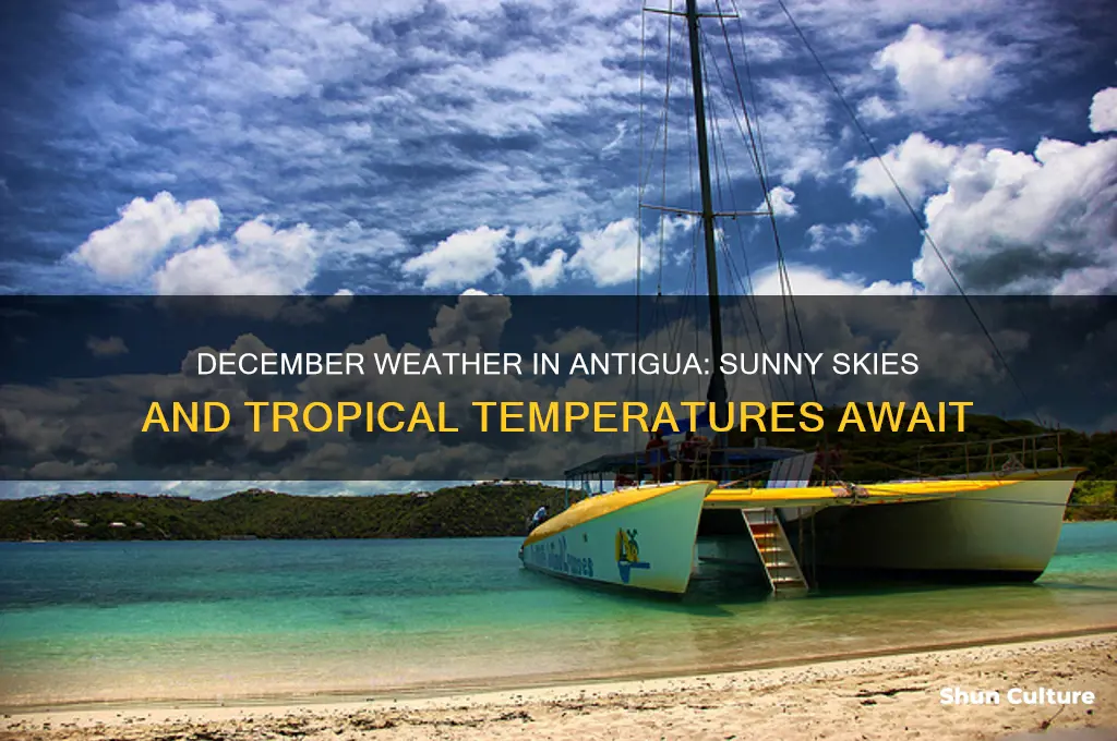 what is the weather in antigua in december
