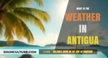 Exploring Antigua's Climate: Weather Patterns and Seasonal Variations
