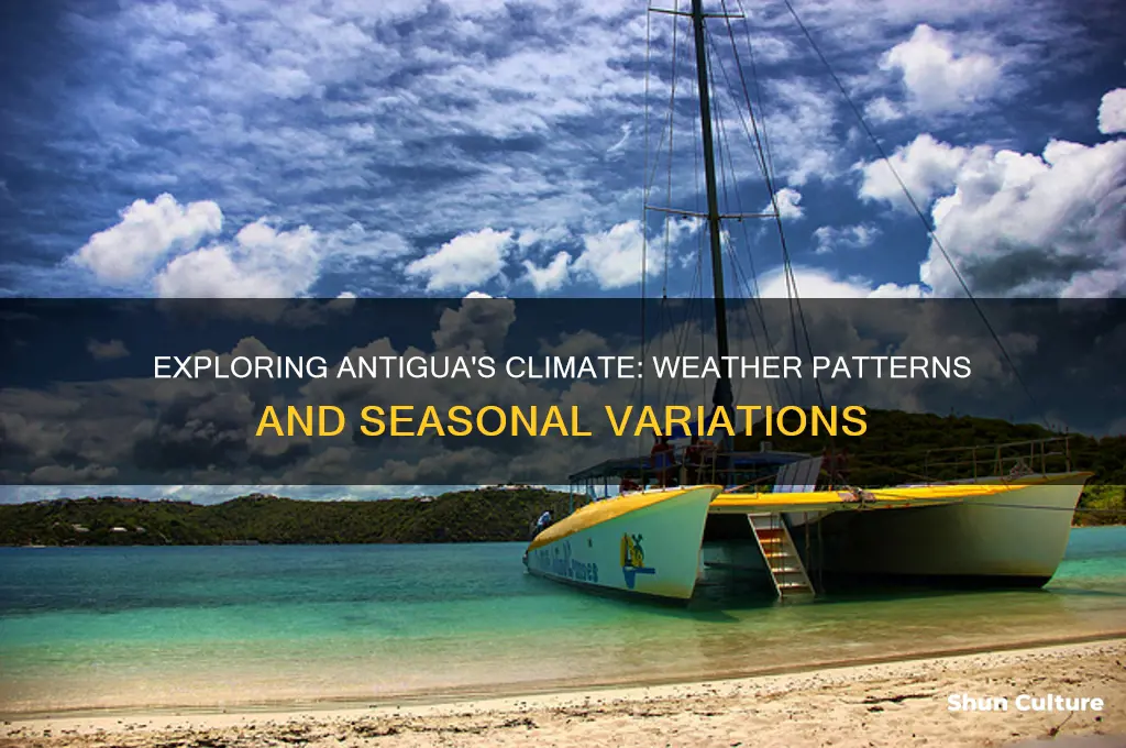 what is the weather in antigua