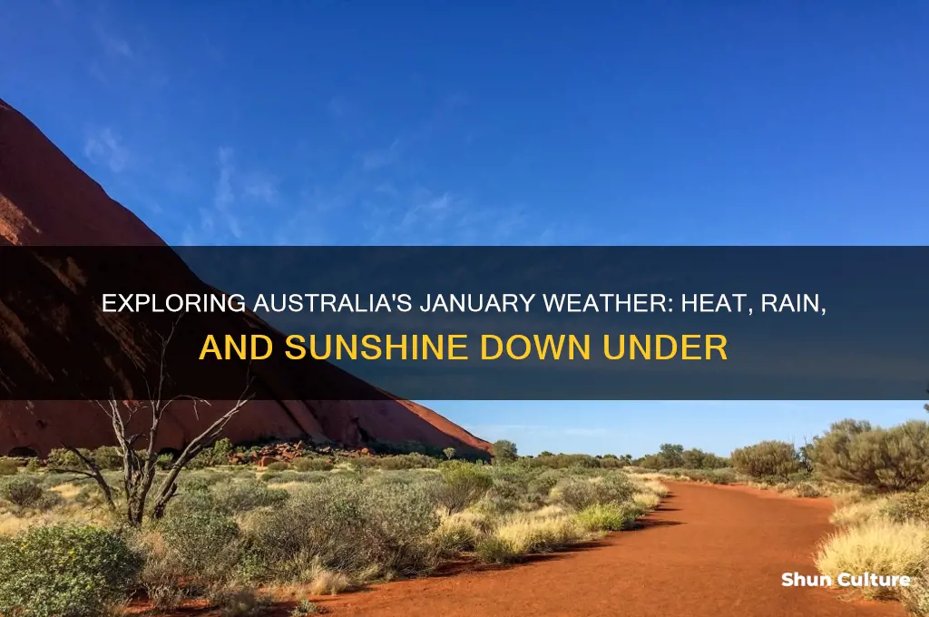 what is the weather in australia like in january