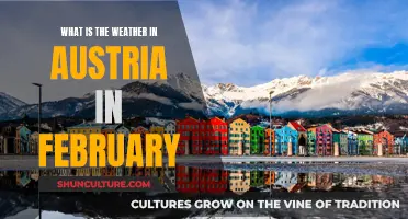 Winter's Embrace: Exploring Austria's February Weather