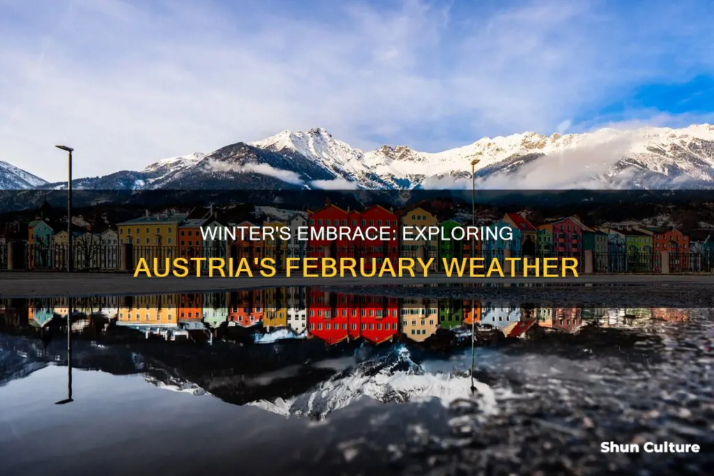 what is the weather in austria in February