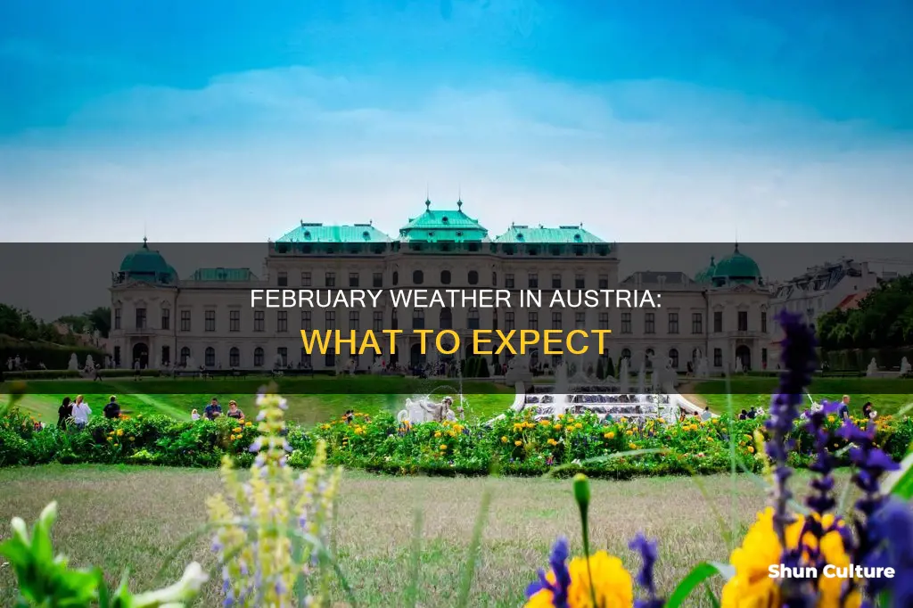 what is the weather in austria in February