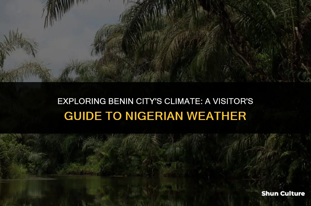 what is the weather in benin city nigeria