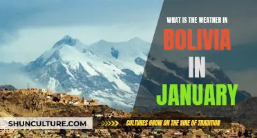 Exploring Bolivia in January: Weather Expectations