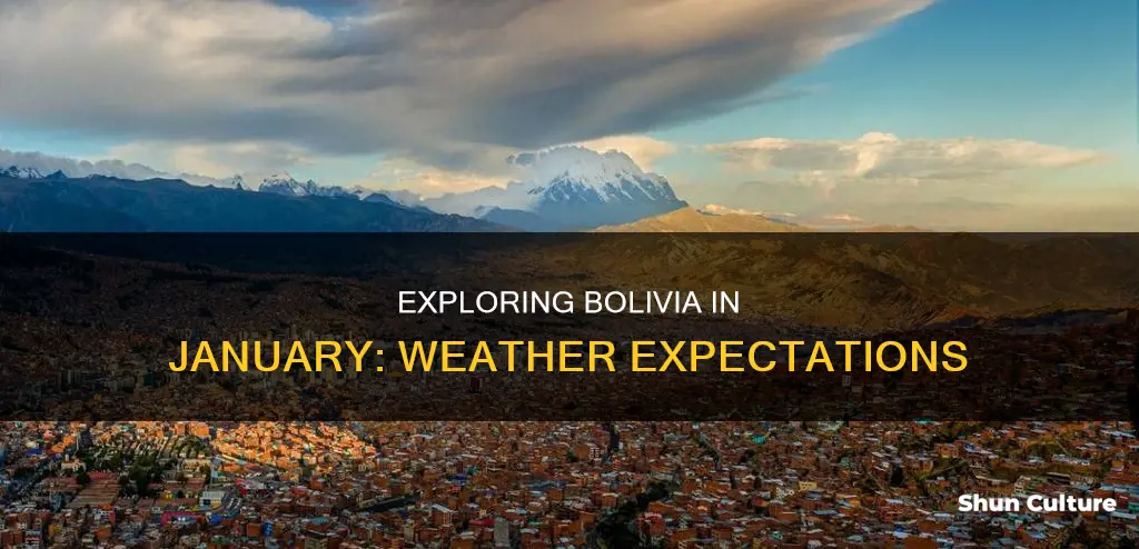 what is the weather in bolivia in january