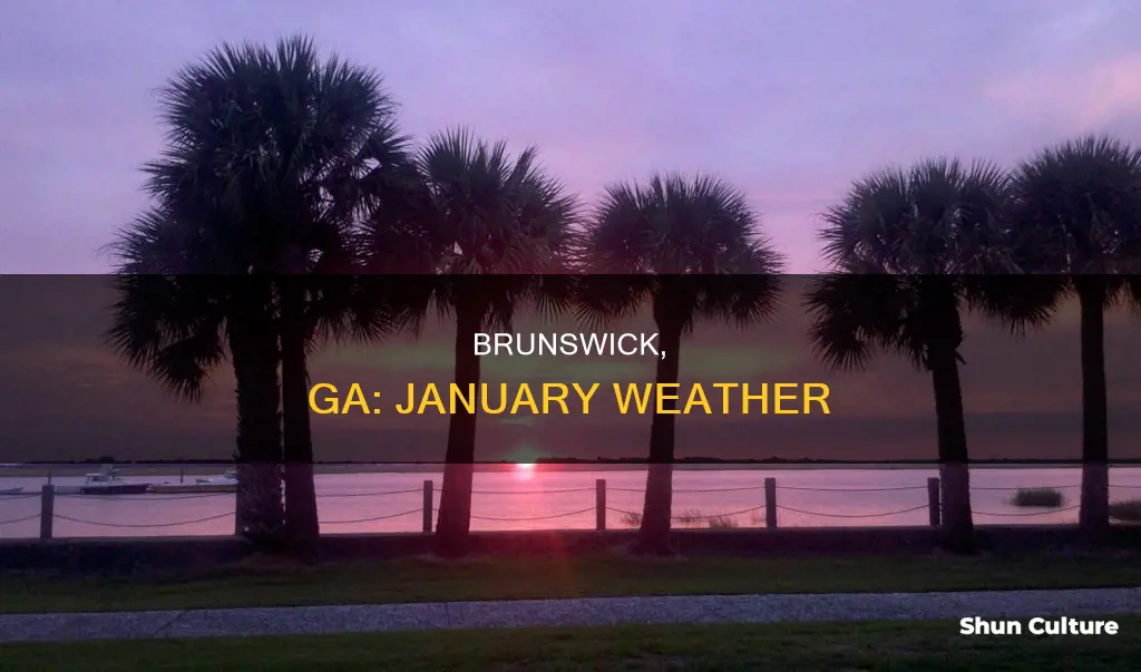 what is the weather in brunswick ga in january