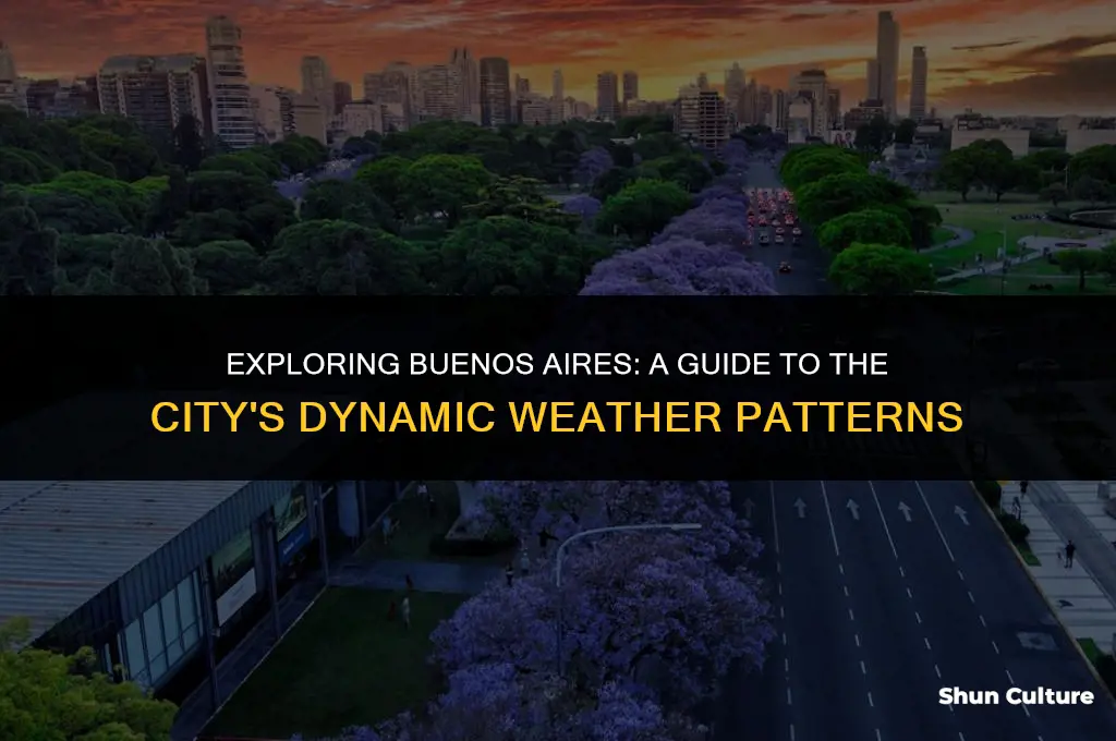 what is the weather in buenos aires argentina