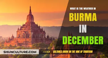 December Delights: Exploring Burma's Weather Wonders