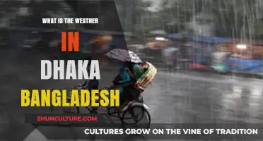 Dhaka's Weather: Climate Insights and Seasonal Patterns in Bangladesh