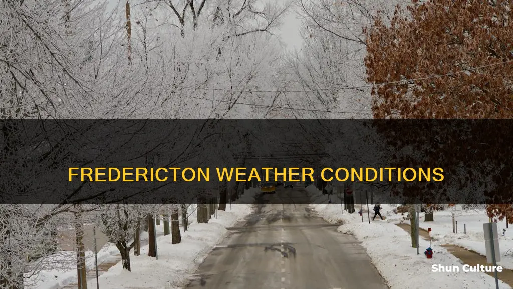 what is the weather in fredericton new brunswick