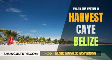 Belize's Tropical Paradise: Weather in Harvest Caye