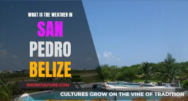 Belize's San Pedro Weather: A Tropical Paradise's Climate