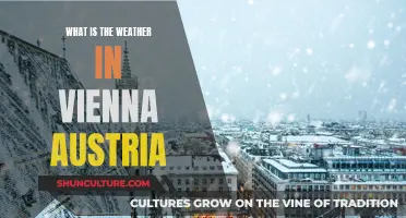 Exploring Vienna's Weather: A Local's Perspective