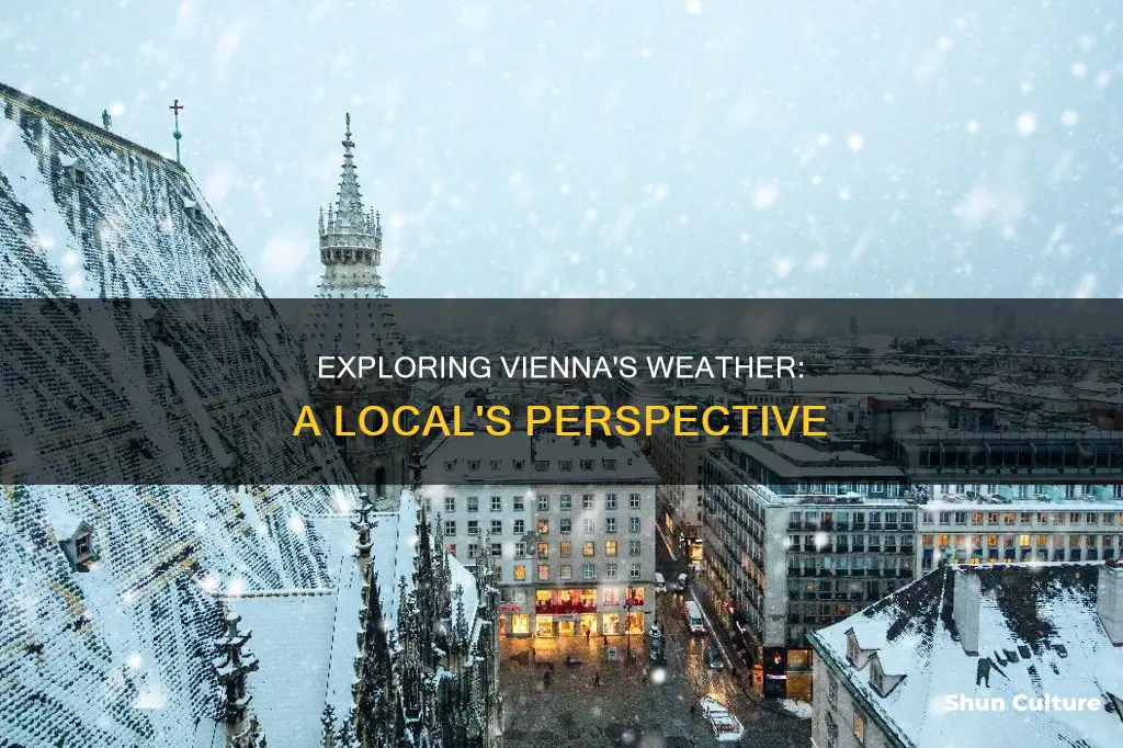 what is the weather in vienna austria