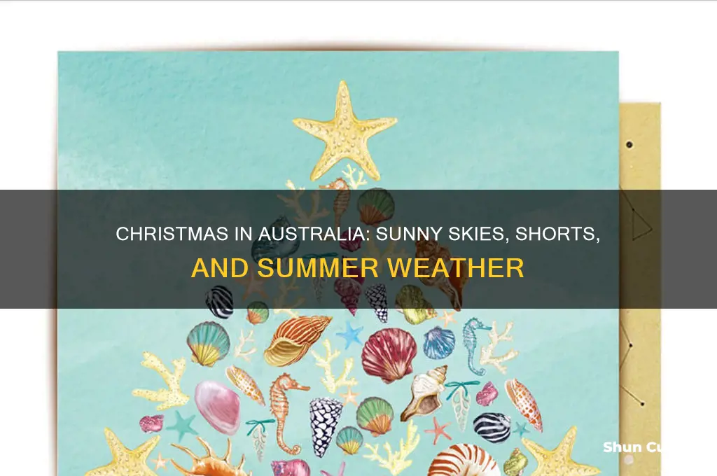 what is the weather like at christmas in australia