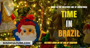 Christmas Weather in Brazil: Tropical Holidays and Sunny Celebrations