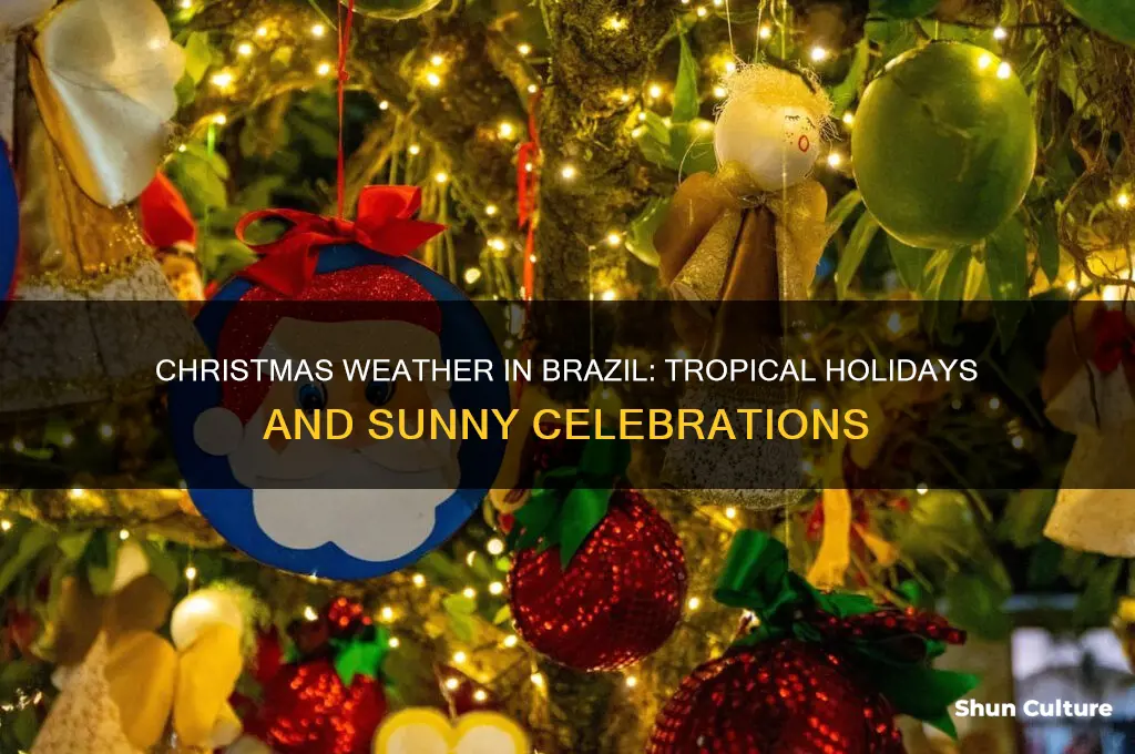 what is the weather like at christmas time in brazil