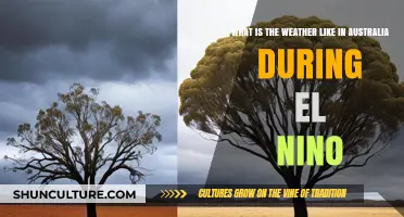 El Niño's Impact: Australia's Weather Patterns and Climate Changes