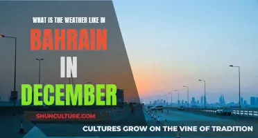 Exploring Bahrain's December Weather