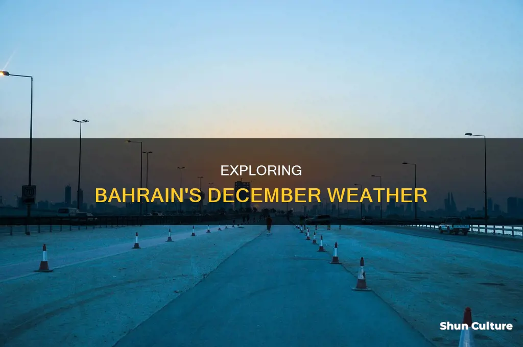 what is the weather like in bahrain in december