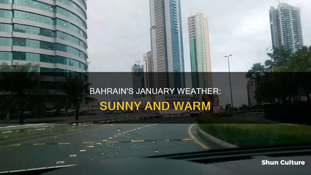 what is the weather like in bahrain in january