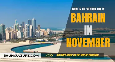 Weather in Bahrain: November's Climate Revealed