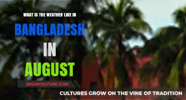 August Weather in Bangladesh: Hot, Humid, and Monsoon-Driven Conditions
