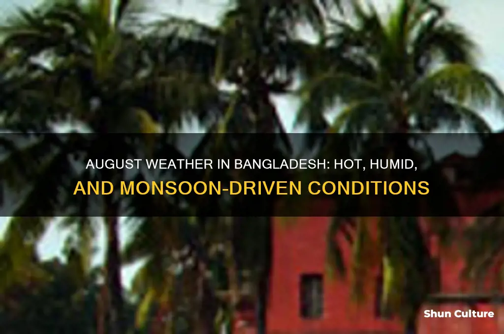 what is the weather like in bangladesh in august