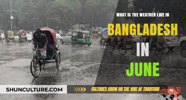 June Weather in Bangladesh: Heat, Humidity, and Monsoon Showers