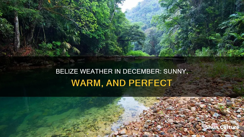 what is the weather like in belize in december