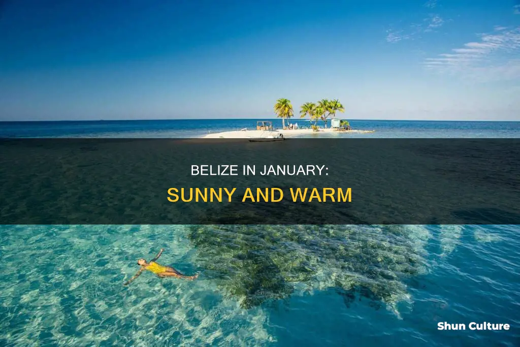 what is the weather like in belize in january