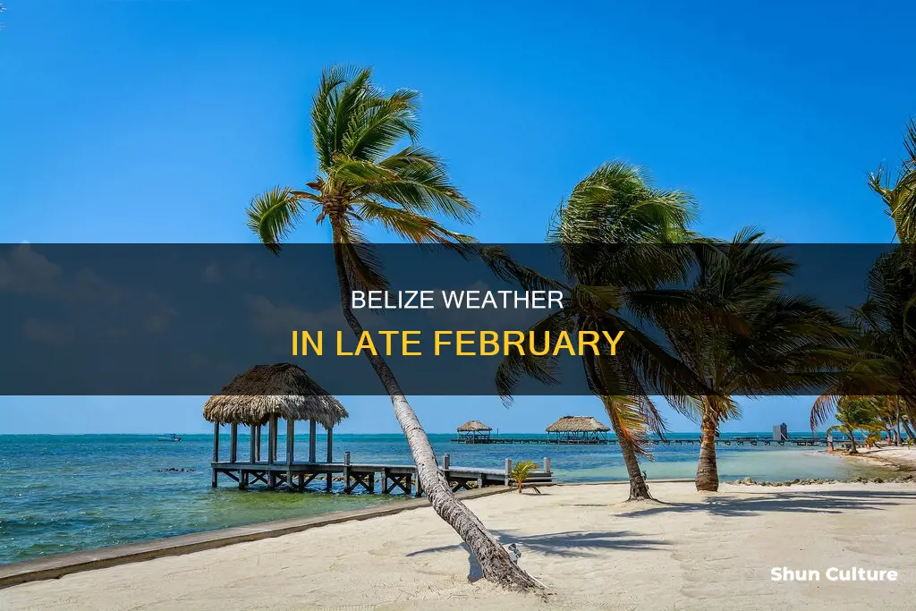 what is the weather like in belize in late february