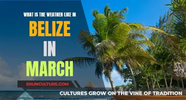 Belize Weather in March: Sunny and Warm