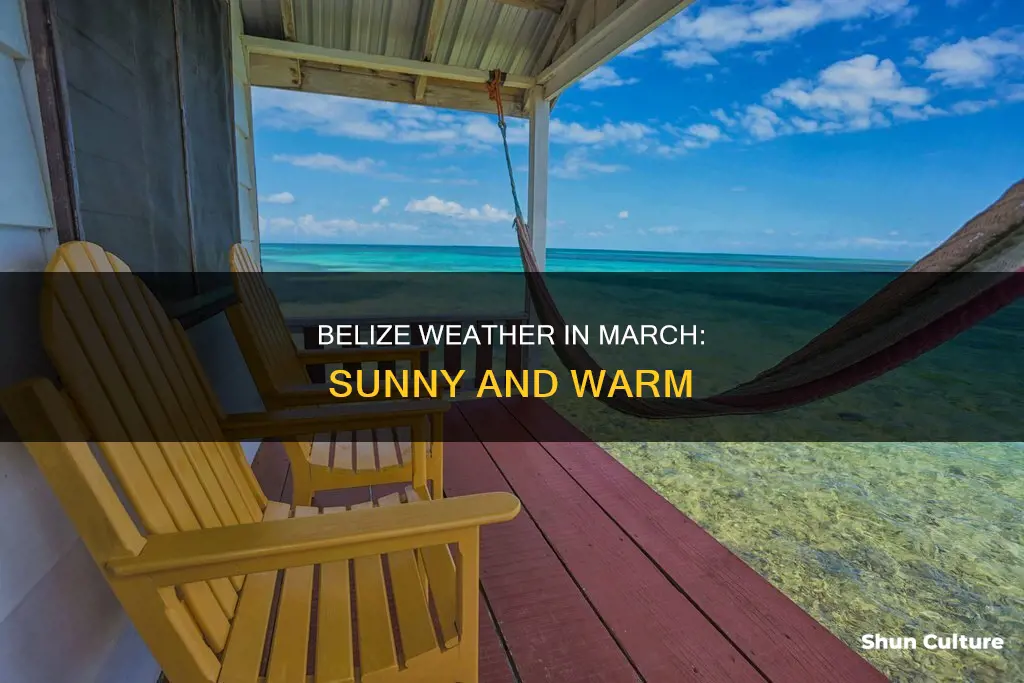 what is the weather like in belize in march