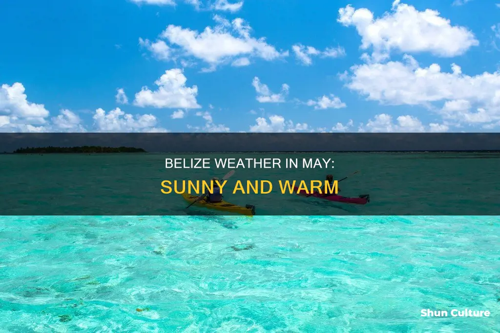 what is the weather like in belize in may