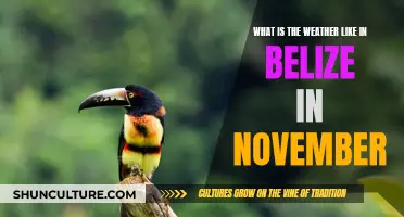 Belize's November Weather