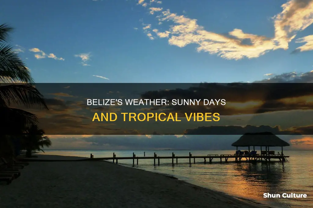 what is the weather like in belize