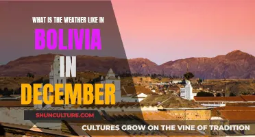 Exploring Bolivia in December: Weather and Travel Tips