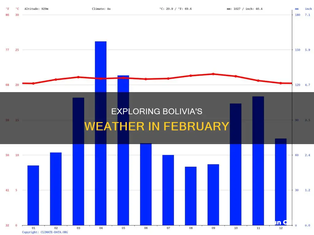 what is the weather like in bolivia in February