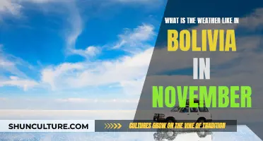 Bolivia's November Weather: Sunny, Rainy, or Snowy?