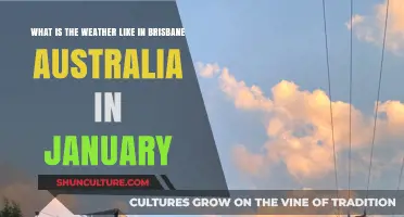 Brisbane's January Weather: Hot, Humid, and Stormy Summers Explained