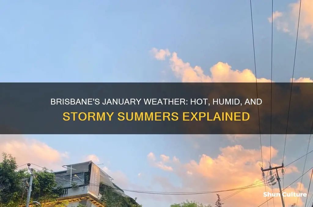 what is the weather like in brisbane australia in january