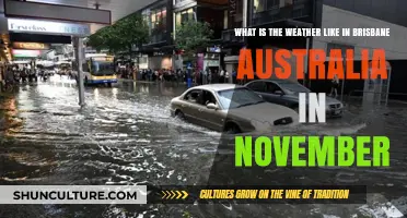 Brisbane's November Weather: Warmth, Sunshine, and Spring's Final Embrace