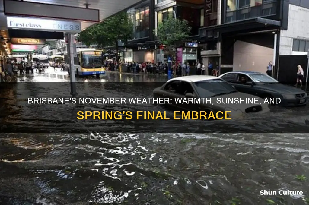 what is the weather like in brisbane australia in november