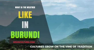 Exploring Burundi's Climate: A Comprehensive Guide to the Weather
