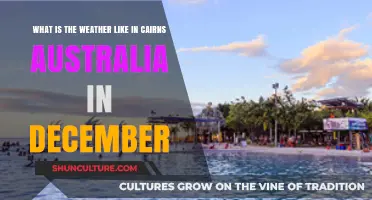 December Weather in Cairns, Australia: Tropical Climate and Forecast Guide